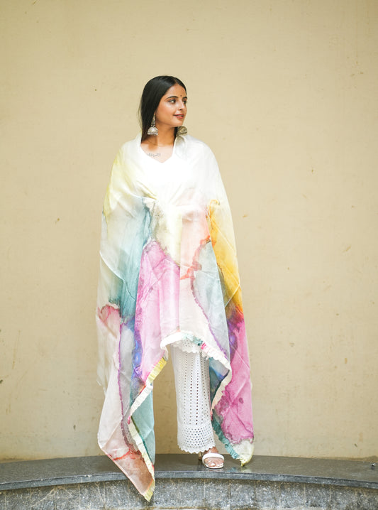 Dwindling Away Organza Silk Dupatta