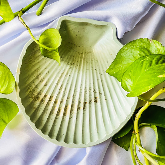 Mint Green Calm Shell Tray