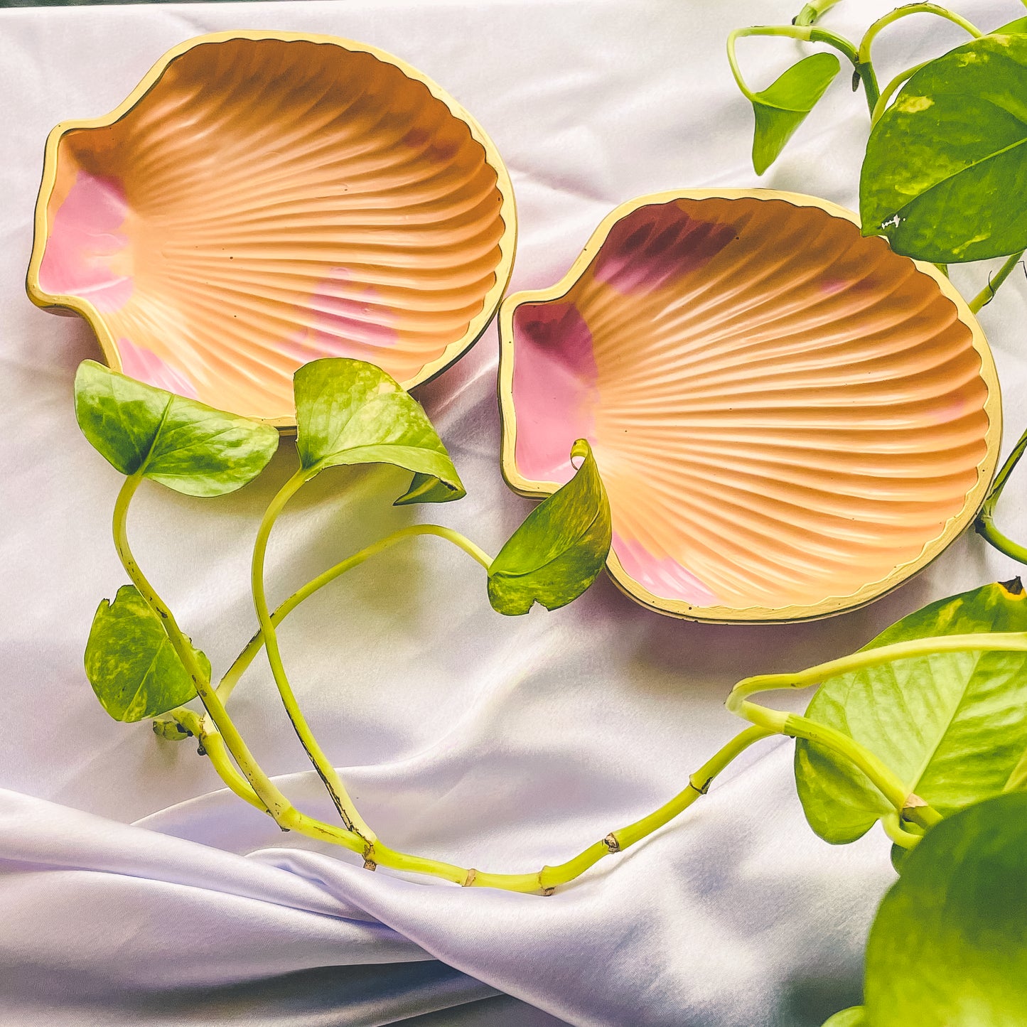 Peachy Pink Calm Shell Tray